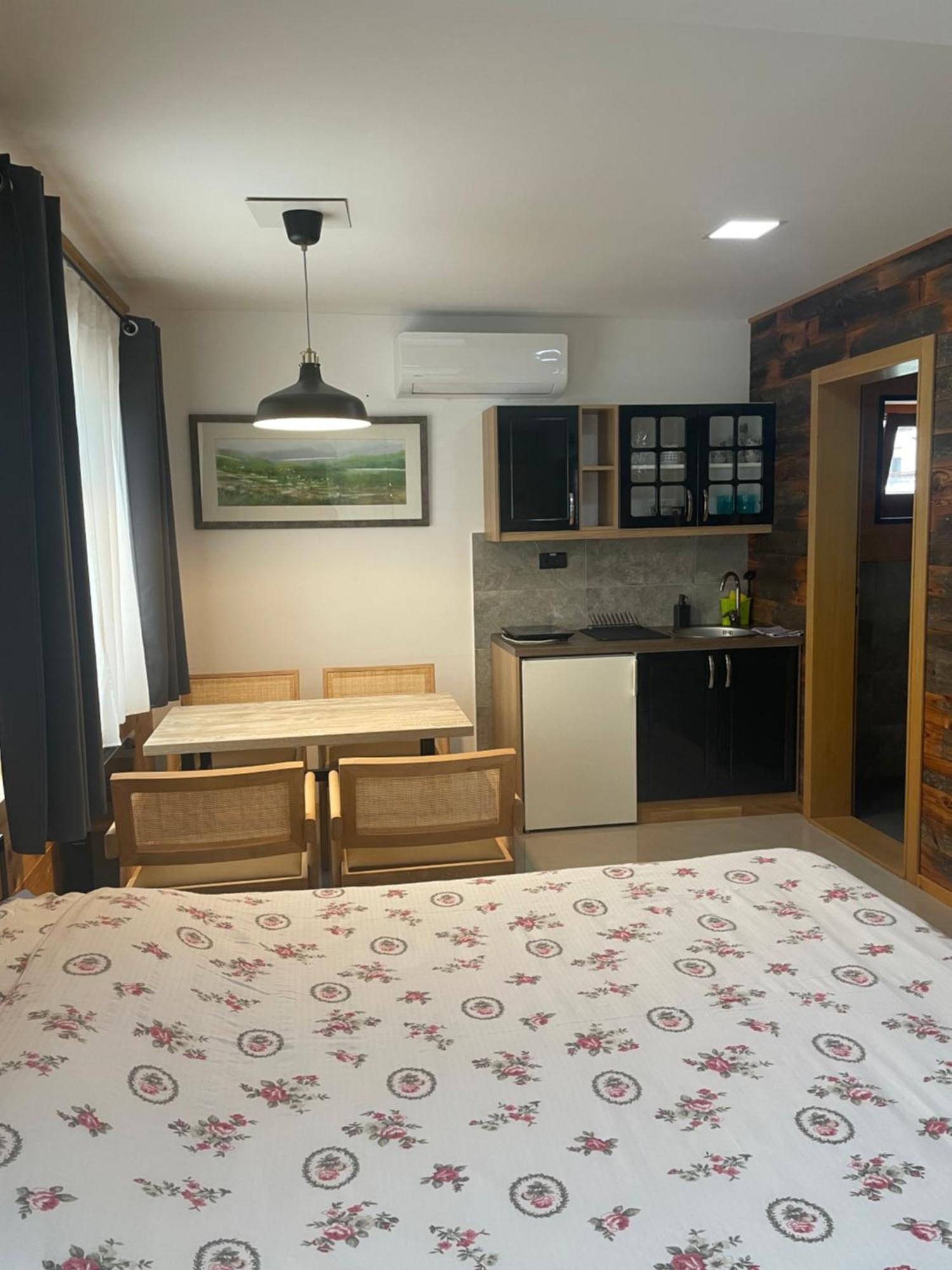 Alexandar Studio Apartman Mokra Gora Luaran gambar